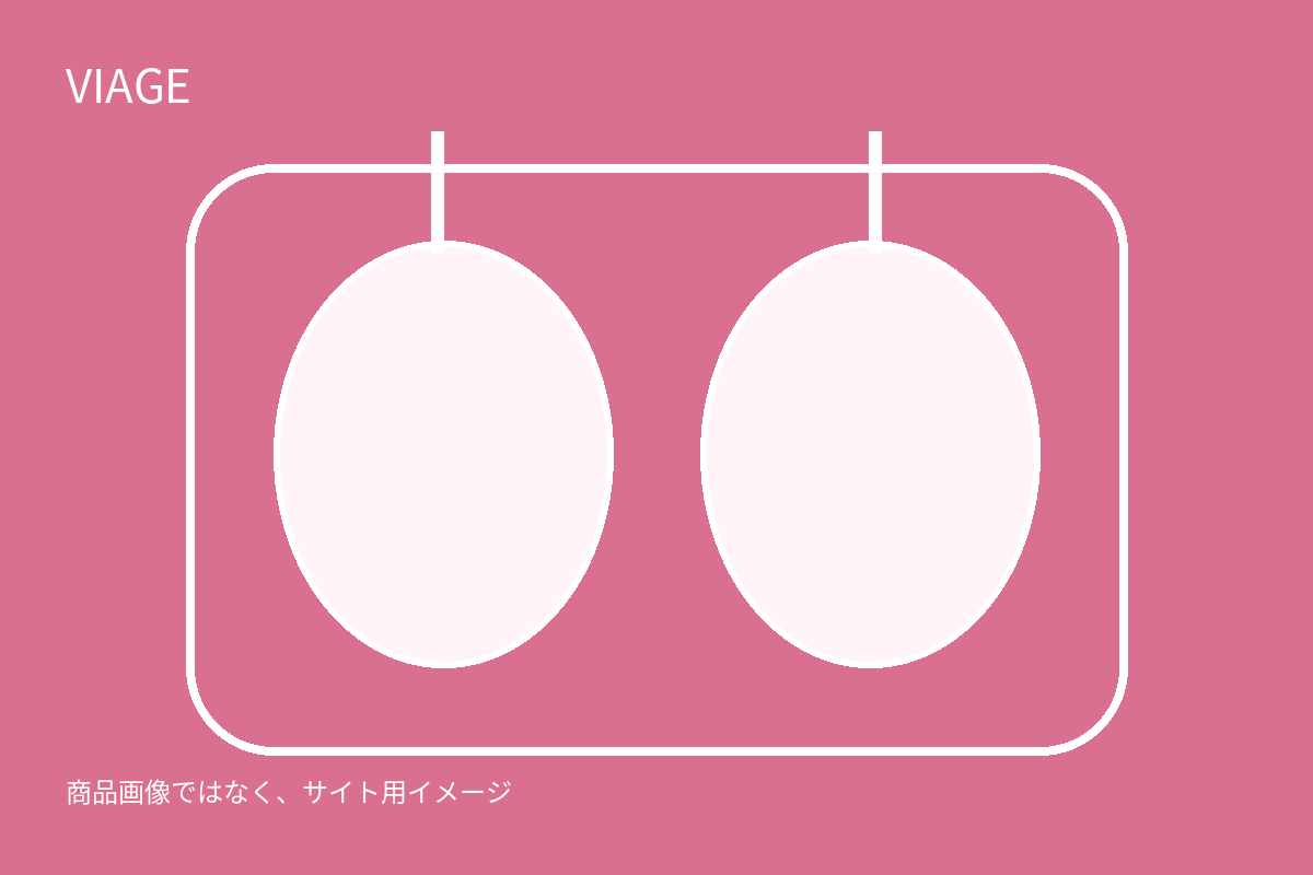 VIAGEのサイト用イメージ